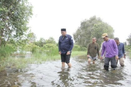 Bupati terpilih Barito Kuala periode 2025-2030, H Bahrul Ilmi saat meninjau lokasi banjir. Sumber Foto: Alvi/TeladanKalimantan