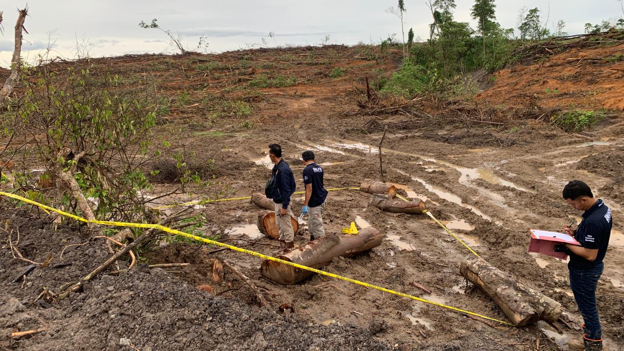 Kepolisian lakukan penyelidikan di lokasi reklamasi milik PT Arutmin Indonesia yang diduga dirusak. Foto: PT Arutmin