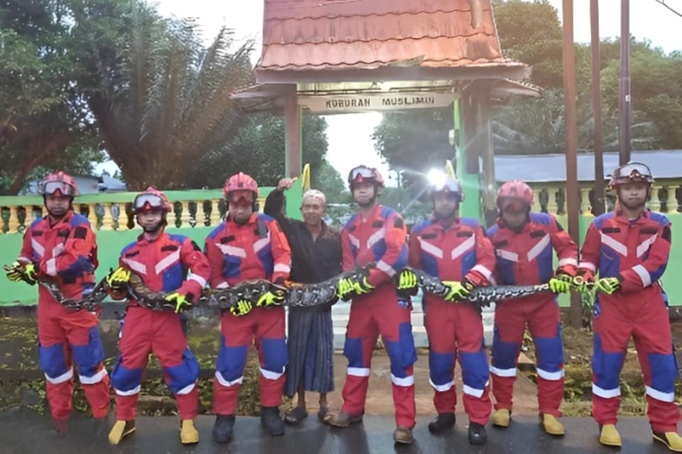 Tim Rescue DPKP Banjar berhasil evakuasi ular phyton di area TPU Muslimin, Martapura, Jum'at (24/1/2025). Foto: DPKP Kab. Banjar