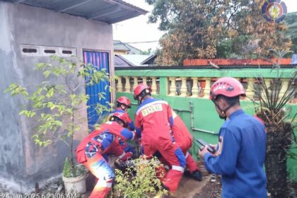 Regu Pleton I tim Triton DPKP Kabupaten banjar lakukan proses evakuasi ular phyton sepanjang 4 meter di kuburan muslimin, Jalan Batuah, Keraton, Martapura, Jum'at (24/1/2025). Foto: DPKP Kab.Banjar