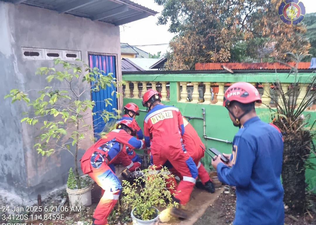 Regu Pleton I tim Triton DPKP Kabupaten banjar lakukan proses evakuasi ular phyton sepanjang 4 meter di kuburan muslimin, Jalan Batuah, Keraton, Martapura, Jum'at (24/1/2025). Foto: DPKP Kab.Banjar