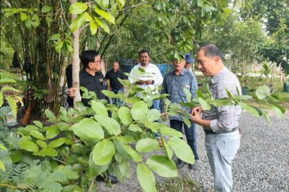 Penanggungjawab HPN 2025 sekaligus Ketua PWI Pusat Hendry CH Bangun bersama panitia HPN lainnya saat meninjau Arboretum Ayu Tirta, Sabtu (1/2/2025). Foto: Dok. PWI Kalsel