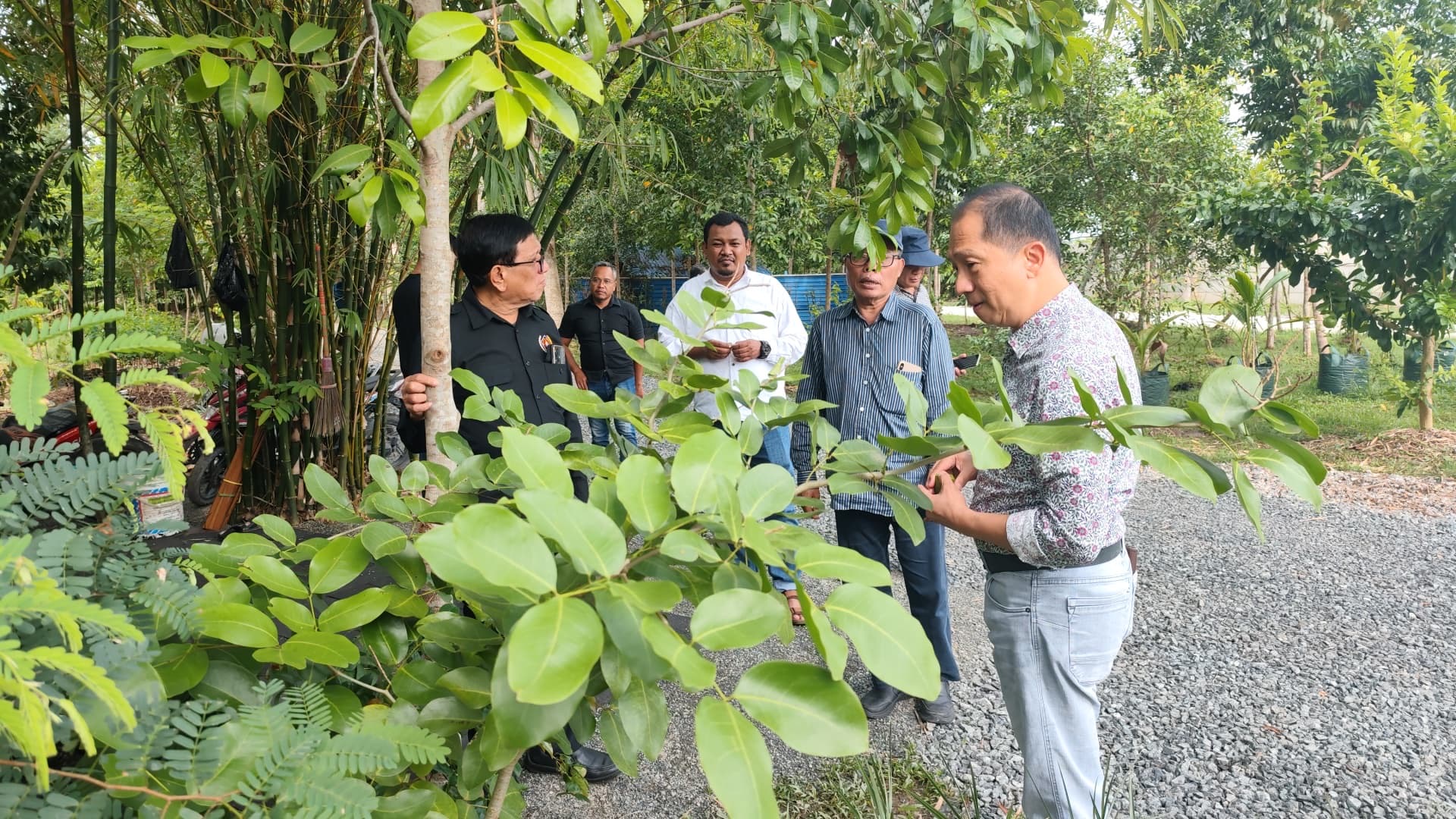 Penanggungjawab HPN 2025 sekaligus Ketua PWI Pusat Hendry CH Bangun bersama panitia HPN lainnya saat meninjau Arboretum Ayu Tirta, Sabtu (1/2/2025). Foto: Dok. PWI Kalsel