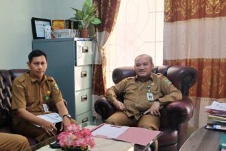 Dinkes Balangan